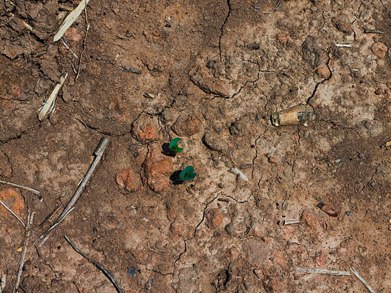 高智能土壤養(yǎng)分速測(cè)儀提高作物產(chǎn)量