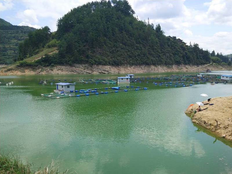 氨氮超標(biāo)的解決方法