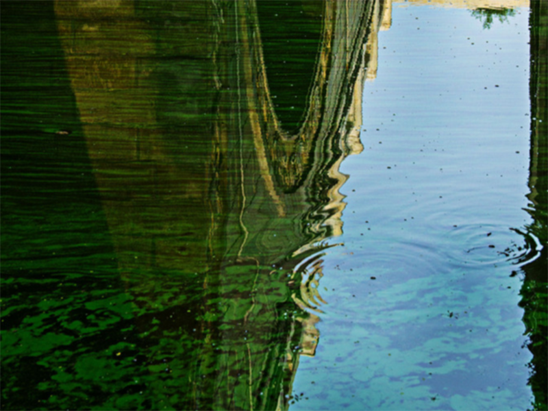 水質(zhì)氨氮超標(biāo)怎樣處理