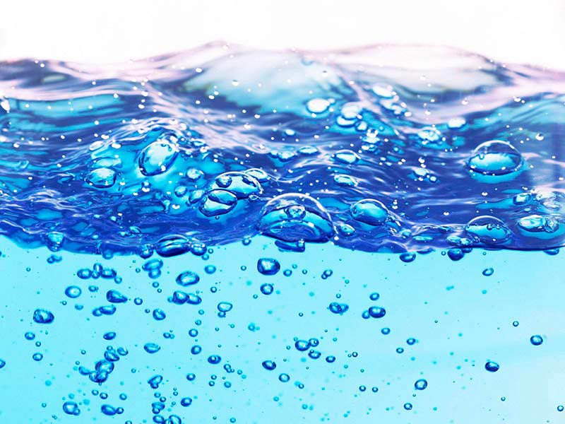 海洋生物水質(zhì)基準(zhǔn)推導(dǎo)技術(shù)指南解讀