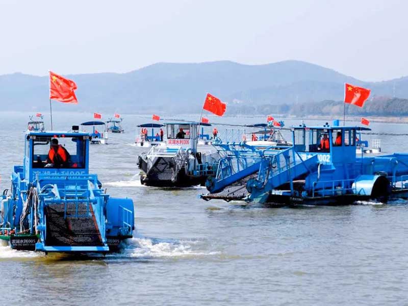 太湖水質提升措施