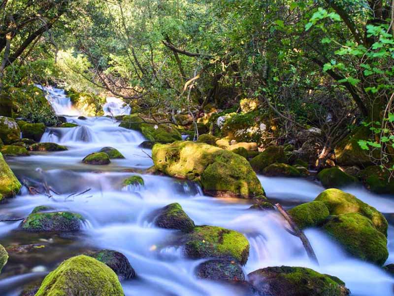 水中藍綠藻分析儀原理（水中藍綠藻分析儀使用注意事項）